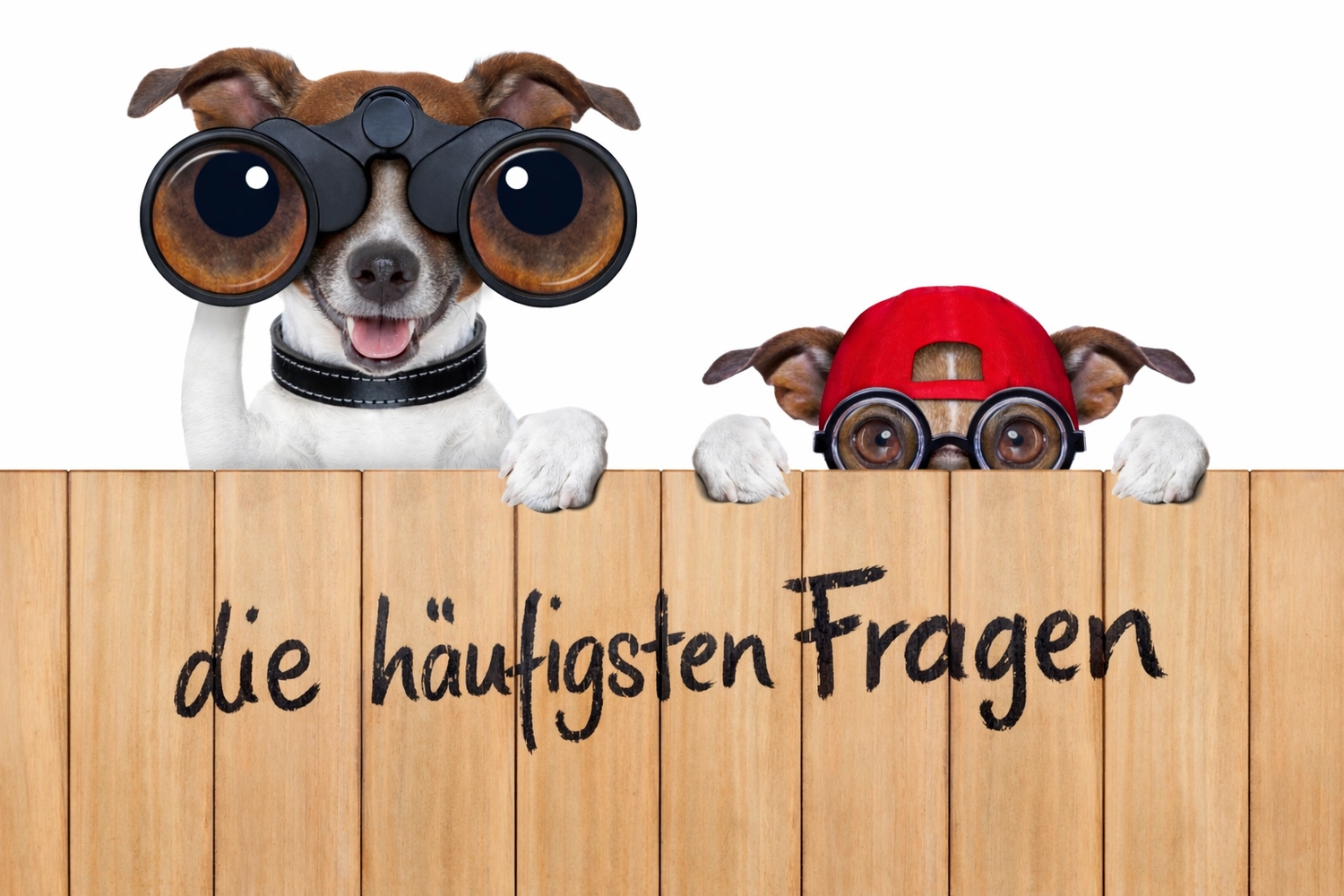 Natursteinoptik Wand